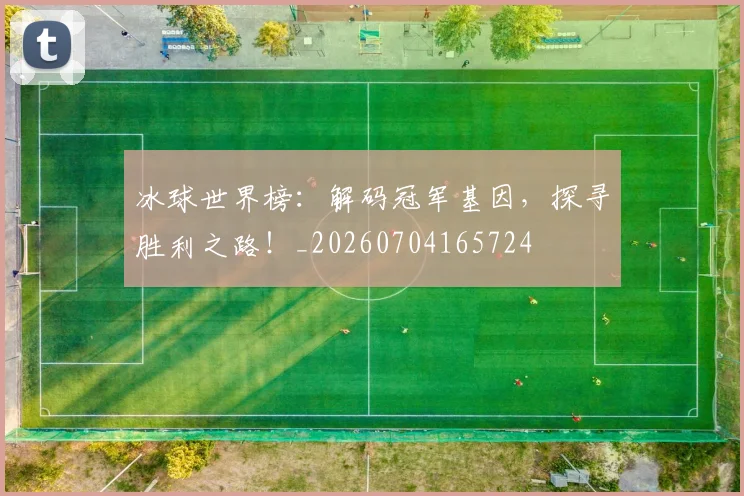 冰球世界榜:解码冠军基因,探寻胜利之路!_20260704165724