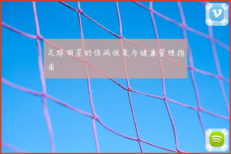 足球明星的伤病恢复与健康管理指南