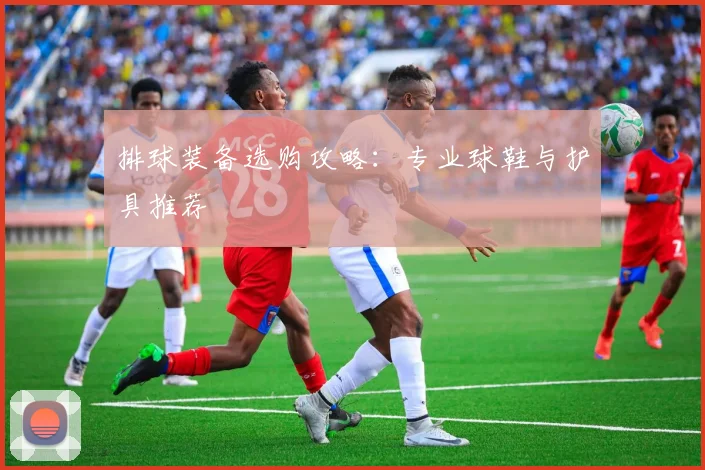排球装备选购攻略:专业球鞋与护具推荐