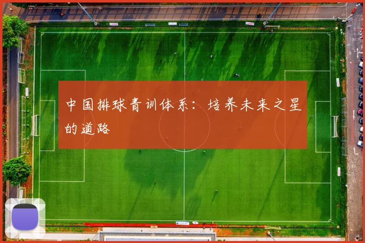 中国排球青训体系:培养未来之星的道路
