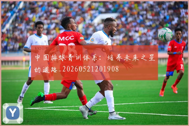 中国排球青训体系：培养未来之星的道路_20260521201908