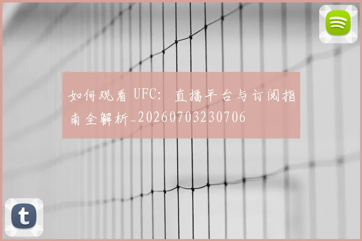 如何观看 UFC：直播平台与订阅指南全解析_20260703230706