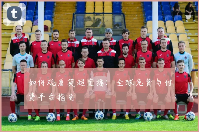 如何观看英超直播：全球免费与付费平台指南