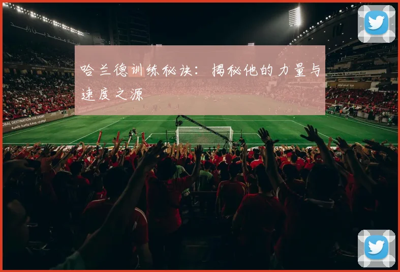 哈兰德训练秘诀：揭秘他的力量与速度之源